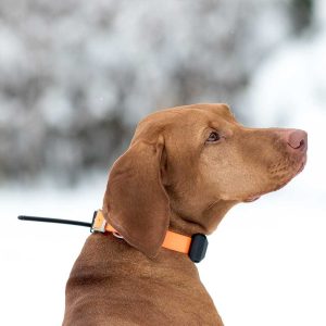 DOG GPS X30-TB (MANDO + COLLAR +EDUCATIVO+BEEPER) - Imagen 5