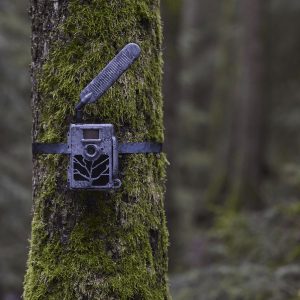 ZEISS CAMARA DE FOTOTRAMPEO SECACAM 5 - Imagen 6