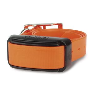 Collar Adicional Professional - Imagen 2