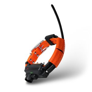 Collar Adicional SHORT GPS X25-TB - Imagen 1